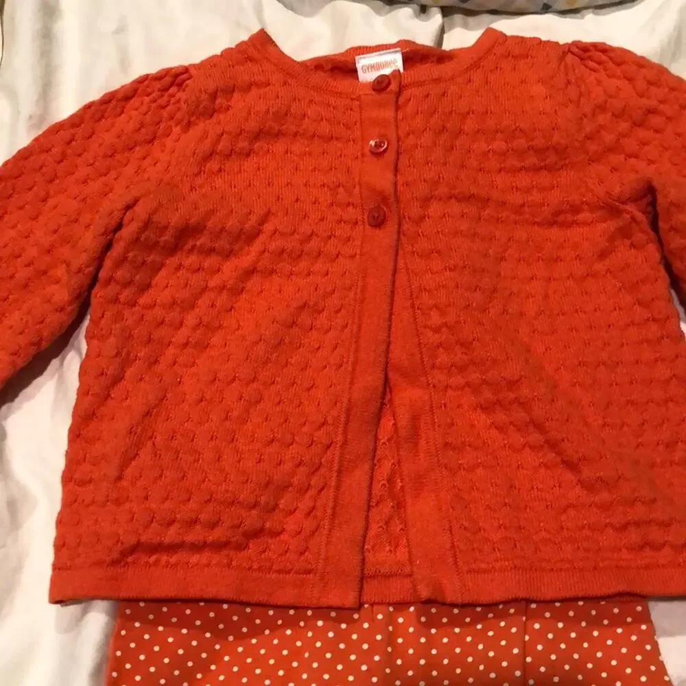 Gymboree 18-24 Orange sweater legging set worn 1